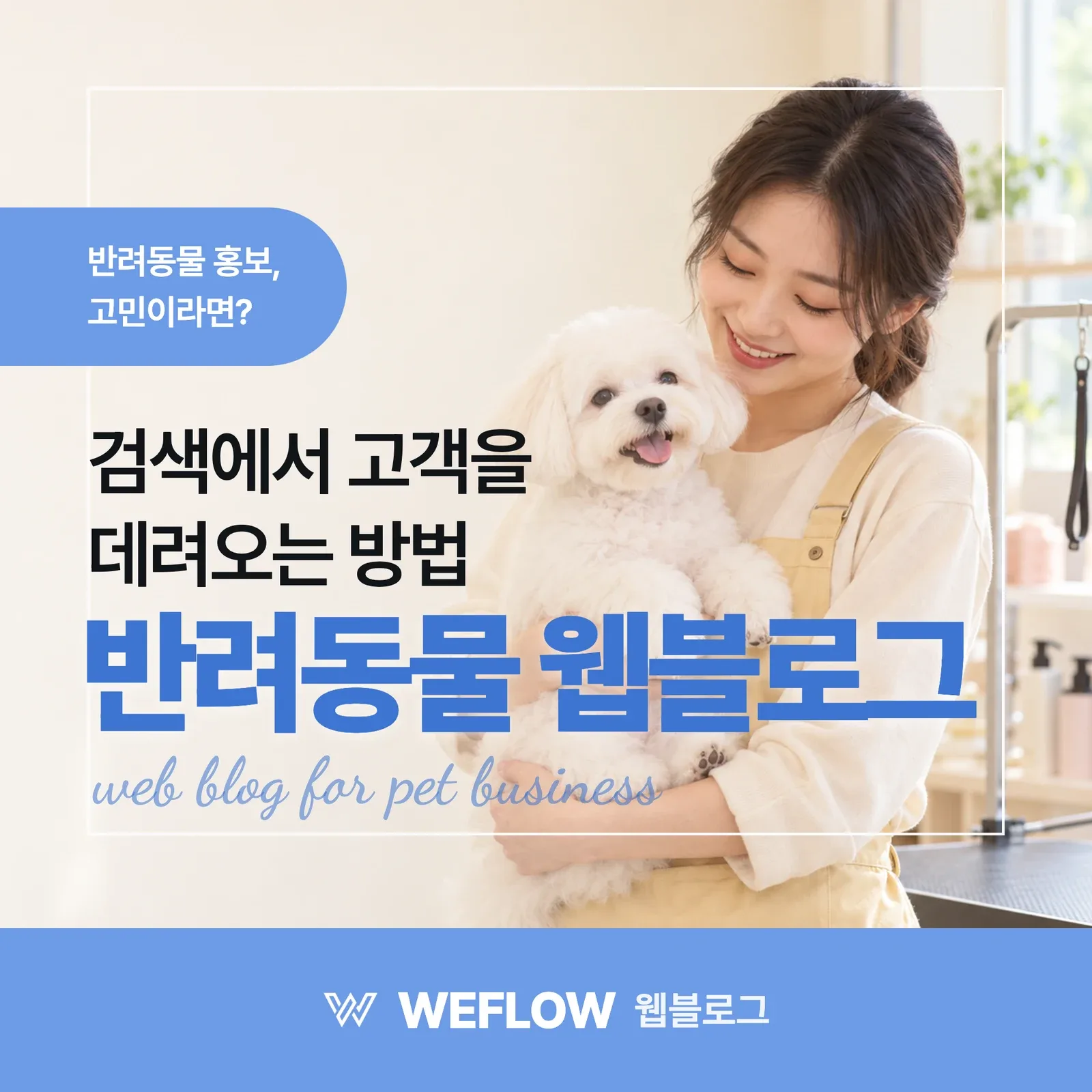 반려동물 웹블로그 — 검색에서 고객을 데려오는 방법